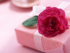 women-s-day-celebration-with-red-rose-backgrounds-wallpapers